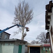 Спил деревьев и обрезка веток. Все работы выполняем аккуратно